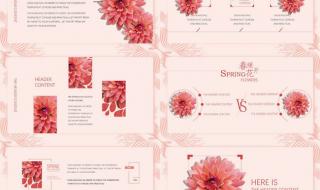 总结ppt模板 总结ppt模板